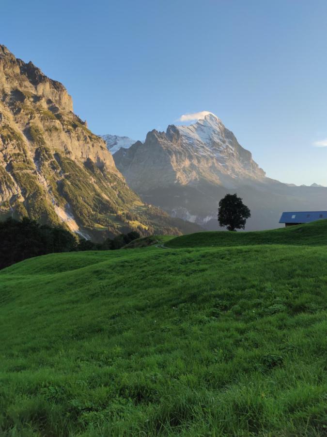 Chalet Pfyffer - Mountain View Grindelwald Eksteriør bilde