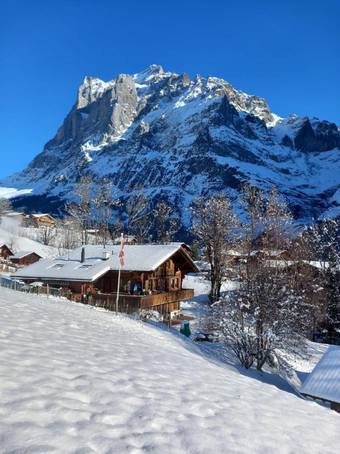 Chalet Pfyffer - Mountain View Grindelwald Eksteriør bilde